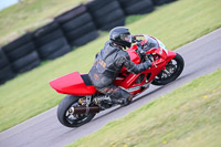 PJ-Motorsport-2019;anglesey-no-limits-trackday;anglesey-photographs;anglesey-trackday-photographs;enduro-digital-images;event-digital-images;eventdigitalimages;no-limits-trackdays;peter-wileman-photography;racing-digital-images;trac-mon;trackday-digital-images;trackday-photos;ty-croes